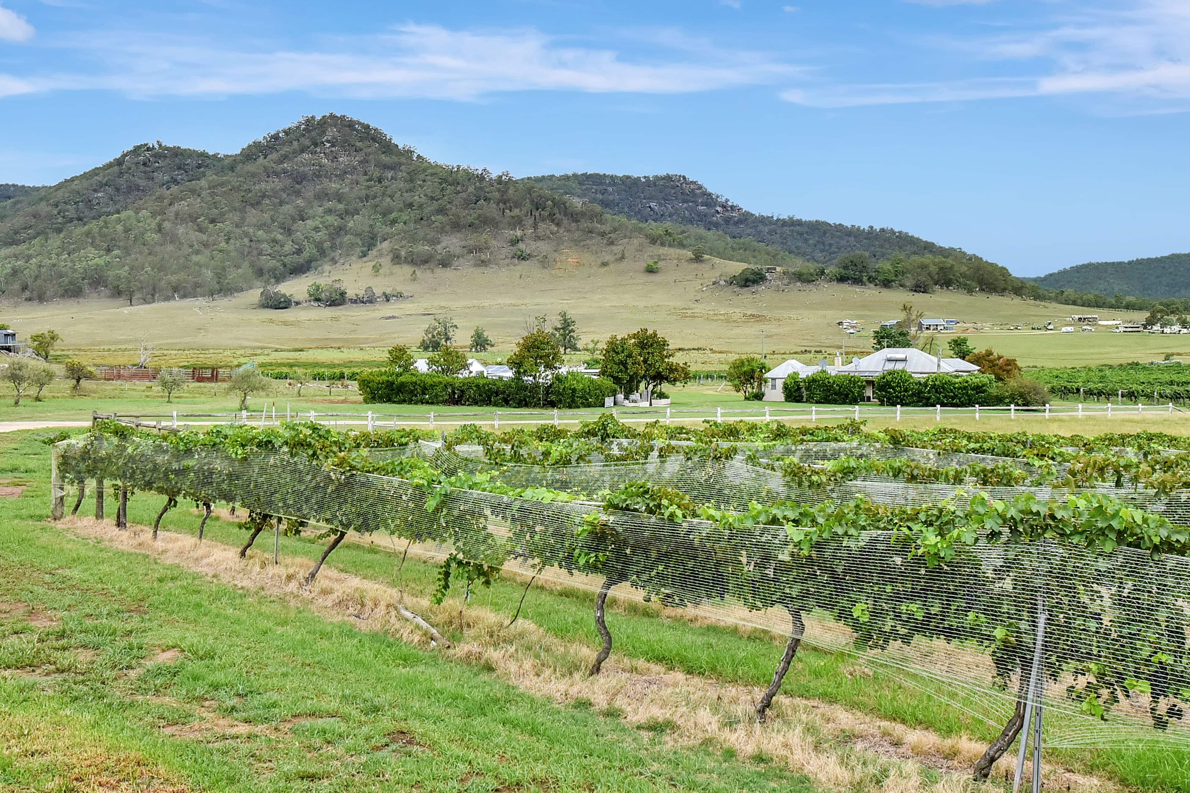 Broke/Fordwich & Surrounds